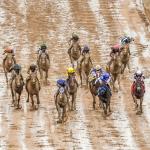 Which 2026 Kentucky Oaks Contenders Should Thrive on a Wet Track? 